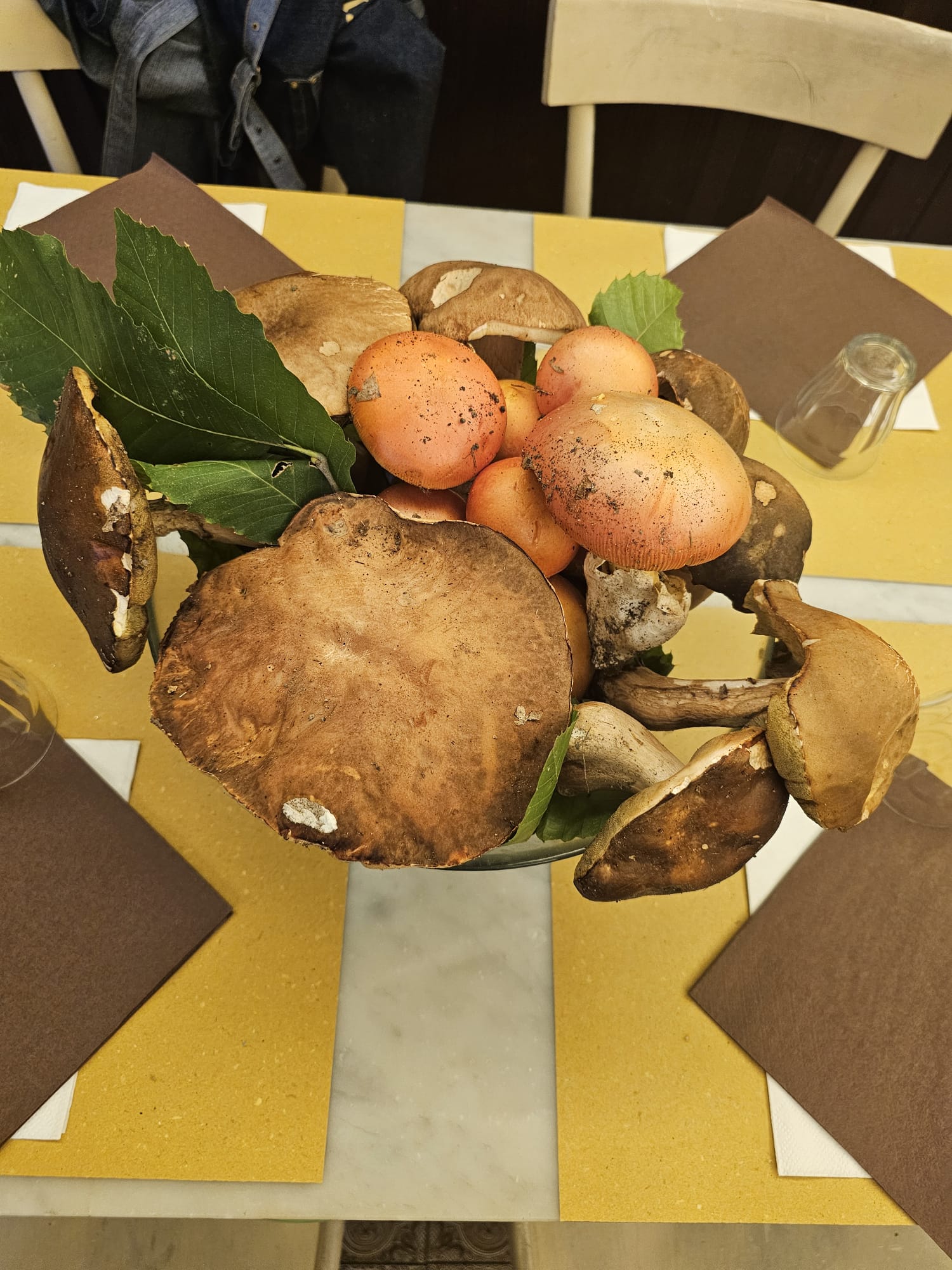Funghi di Stagione